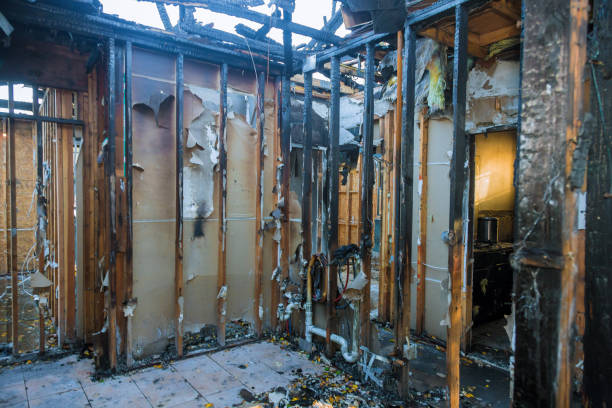 Professional Fire Damage Removal technician working in Glenn Dale, MD